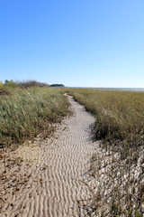 beach path