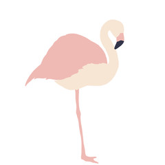 Bird summer Art abstract animal