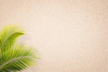 Palm leaves on Sand Texture background . Brown sand. Background from fine sand. Sand background