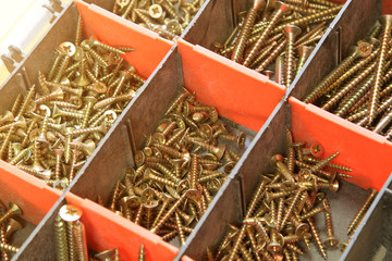 yellow Screw in red plastic organizer box