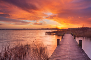 Obraz premium Boardwalk over water at sunrise, near Amsterdam The Netherlands