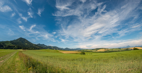 view summer foothills landscape lower tatra mountains