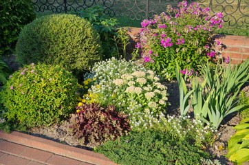 Mixborder of perennial plants in the garden