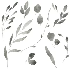 Wall murals Watercolor leaves Pattern Watercolor Plant Flower Botanical