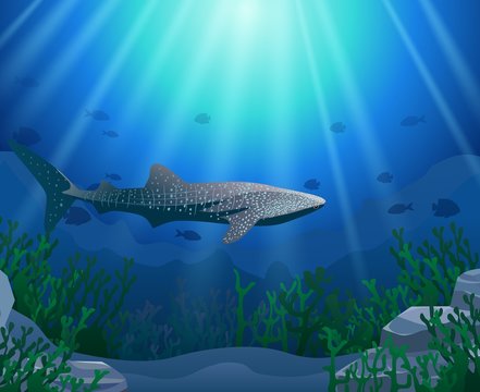 Whale shark cartoon with underwater view and coral background. Vector Illustration