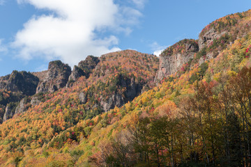 層雲峡の紅葉