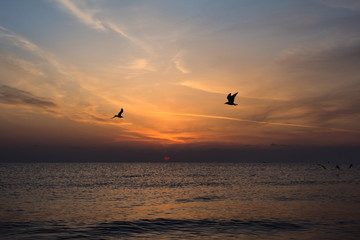 Beautiful orange dawn / sunrise over the Mediterranean Sea, waves splashing, birds flying