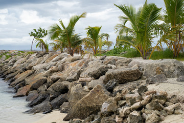 Jetty with palm trees on the beach - Maafushi Island, Maldives