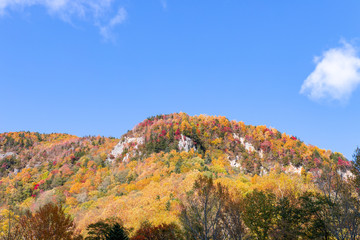 層雲峡の紅葉