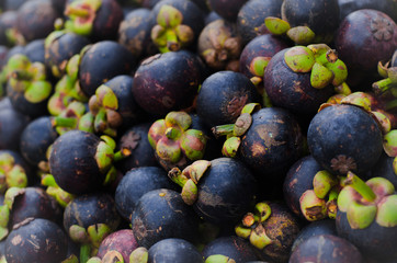 Mangosteen fruit, Thailand economic fruit.