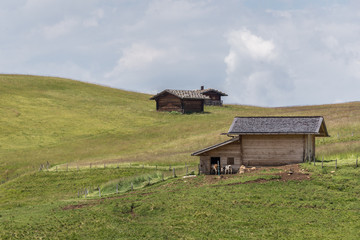 Small wooden farm house, cottage or log cabins on meadow on Alpe di Siusi, Seiser Alm, South Tyrol, Italy