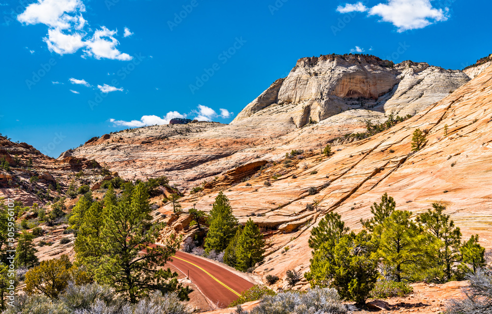 Wall mural landscape of zion national park along pine creek