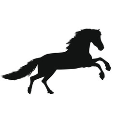 Obraz na płótnie Canvas Horse Silhouettes