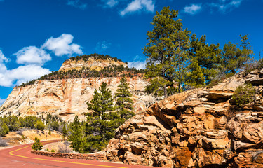 Landscape of Zion National Park along Pine Creek
