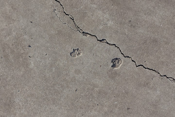 Cleft on light grey concrete slab from above