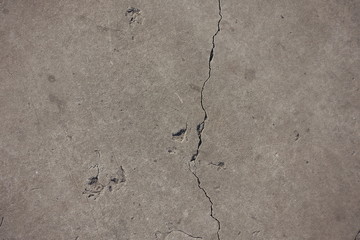 Thin fissure on light grey concrete slab from above
