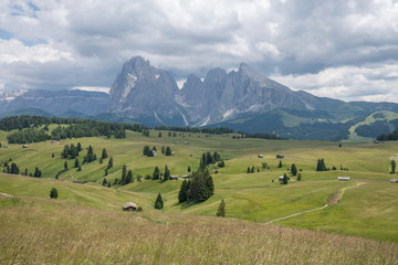 Landscapes on Alpe di Siusi with Sassolungo or Langkofel Mountain Group in Background and small cabins on the grassland in Summer, South Tyrol, Italy