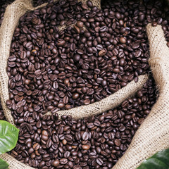 Coffee beans in a canvas bag.