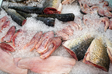 fresh fish on ice at the market     
