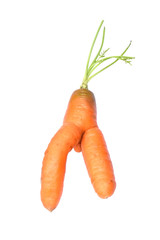 Strange carrot  isolated on white background