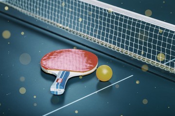 Table Tennis Rackets and Ball on Table with Net