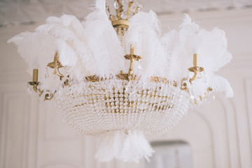 Close-up of a vintage crystal gold chandelier decorated with feathers on a white background
