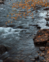 Autumn in the forest mountain stream. Beautiful autumn forest, rocks covered with moss. Mountain river with rapids and waterfalls.