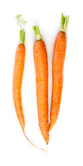 Carrot group isolated on white background