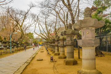 Tosho-Gu Temple, Ueno Park, Tokyo, Japan