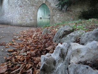 old house in the forest