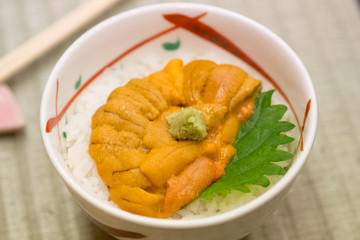 Japanese rice bowl topped with fresh and creamy Uni (Sea Urchin). Healthy eating concept.