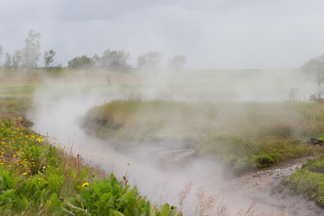 Hot geothermal creek under fog, sulfur stream in meadow, haze and mist abve