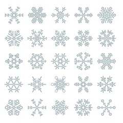 Vector snowflakes set