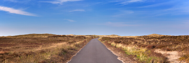 Road through the landscape of Terschelling island in The Netherlands
