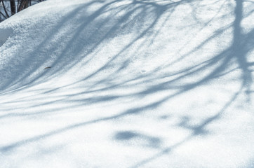 Obraz premium Winter snowdrift background with shadow of trees