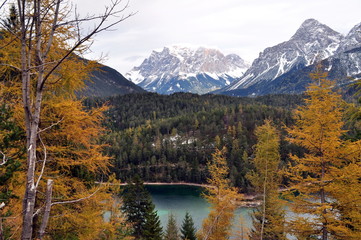 Fototapeta na wymiar Bunte Lärchenwälder am Vernagt-See in Südtirol, Italien