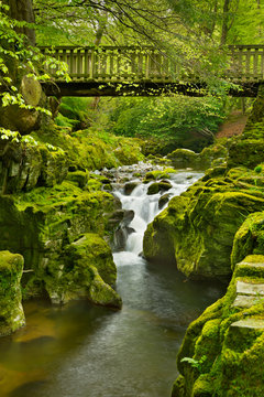 Bridge over a river through lush forest in Northern Ireland
