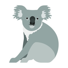 Cute koala sitting on ground, vector illustration © Alira Vale