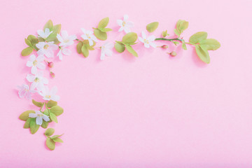 Fototapeta na wymiar white flowers on pink paper background