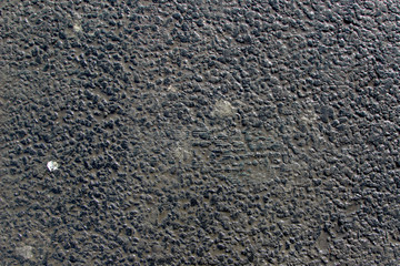 Texture of a new asphalt road covered in wet dirt 