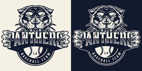 Baseball team vintage monochrome emblem © DGIM studio