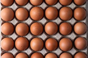 Close up of raw chicken eggs in egg box, organic food from natural on white background