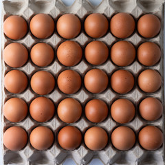 Close up of raw chicken eggs in egg box, organic food from natural on white background