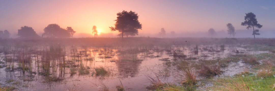 Sunrise over wetland in The Netherlands