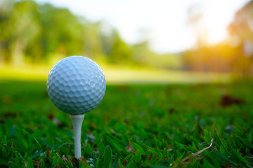 golf ball on green in the evening golf course with sunshine.