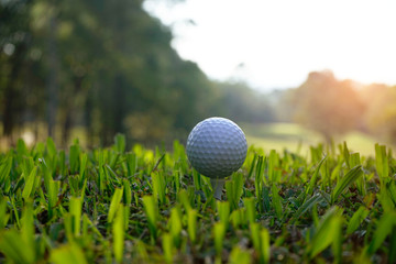 golf ball on green in the evening golf course with sunshine.