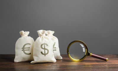 Three bags of money and a magnifying glass. Search for investments and financing for projects....