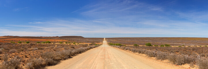 Dirt road through the Karoo in South Africa - 305971337