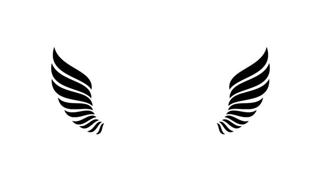 Wings flap animation on white background