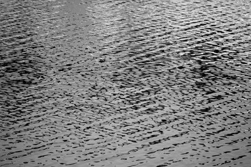 Fototapeta premium Black and white water wave